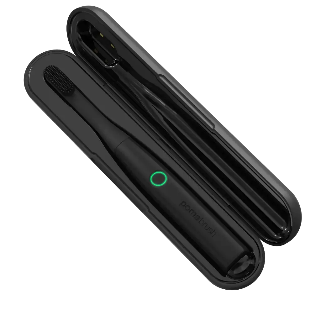 Pomabrush Silicon and Nylon Black Set